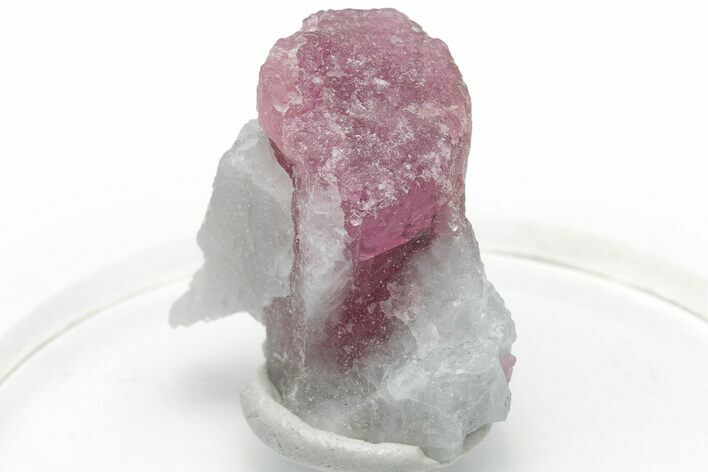 Pink Tourmaline (Rubellite) in Quartz - Brazil #221589